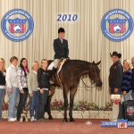 CERTIFIED SO HOT - Out Of Certifiable Oprah